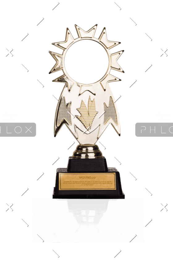 demo-attachment-269-awards